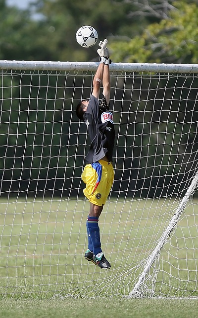 各大俱乐部 各大俱乐部