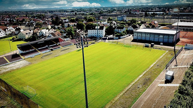 都将在首轮 都将在首轮